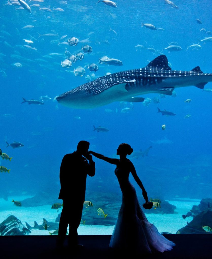 Wolfgang Puck Catering Atlanta Venue Georgia Aquarium
