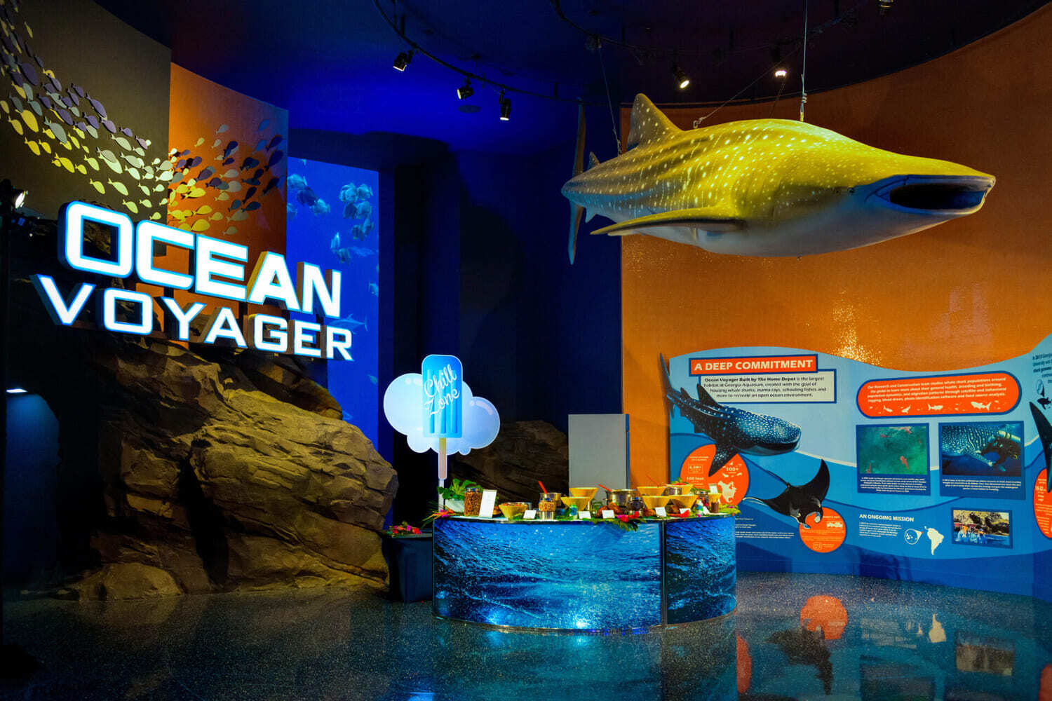 georgia-aquarium-ocean-voyager