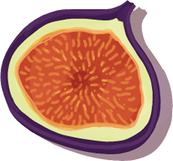 icon-fig